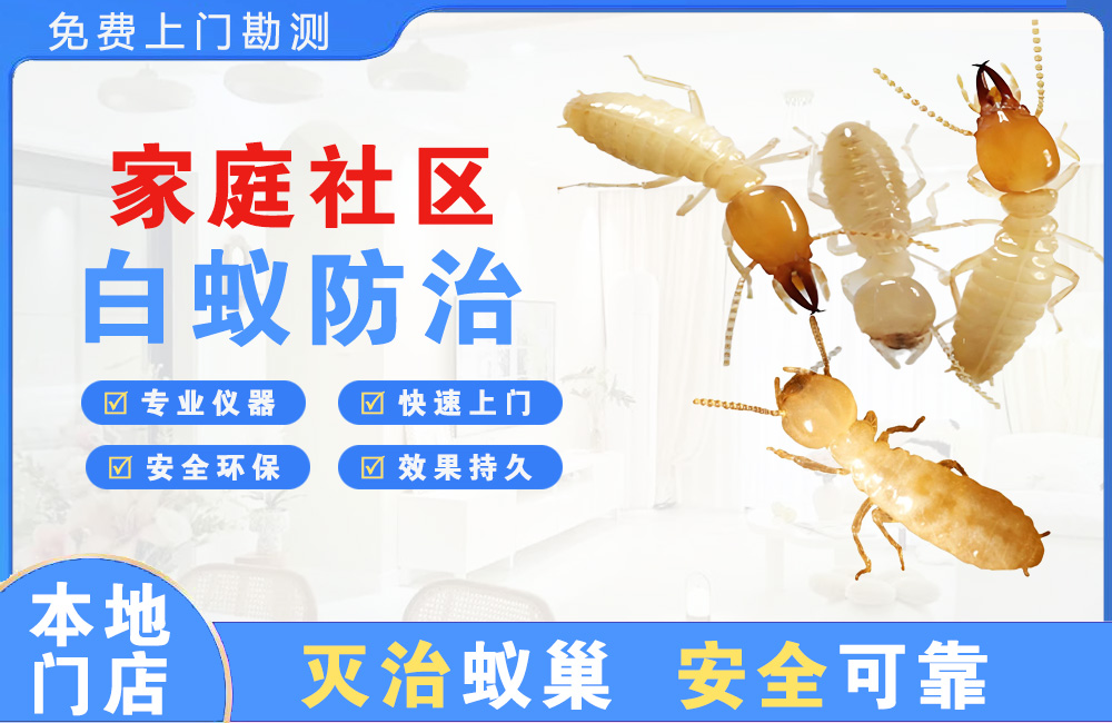孝感家庭社区白蚁防治