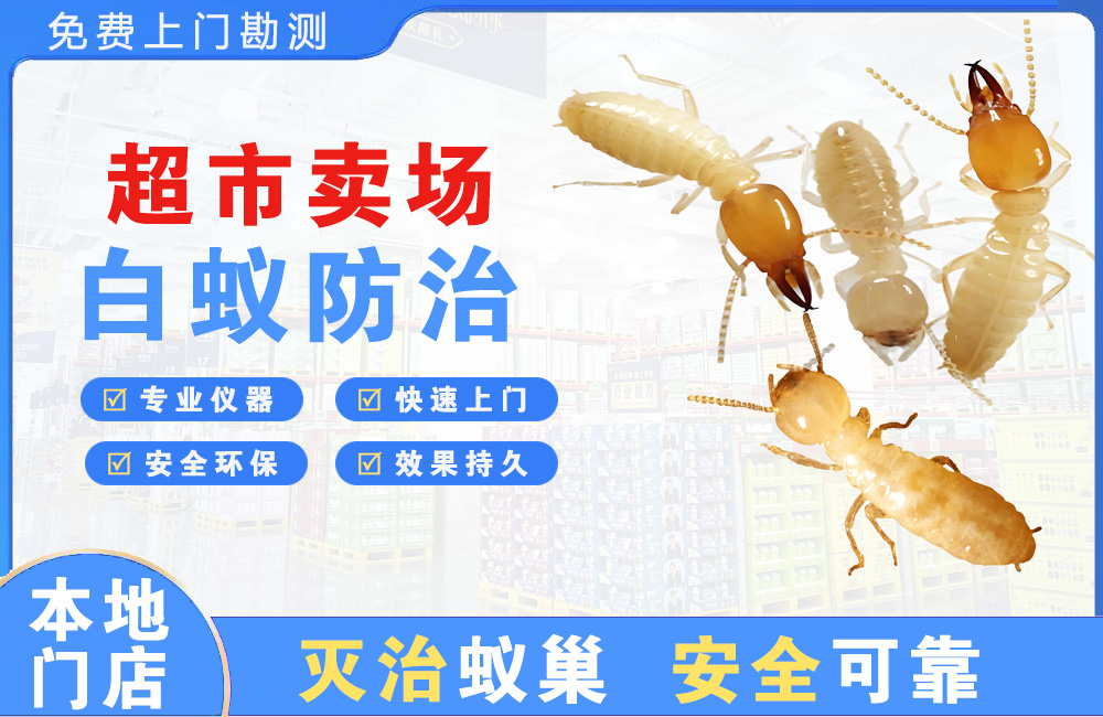 孝感超市卖场白蚁防治