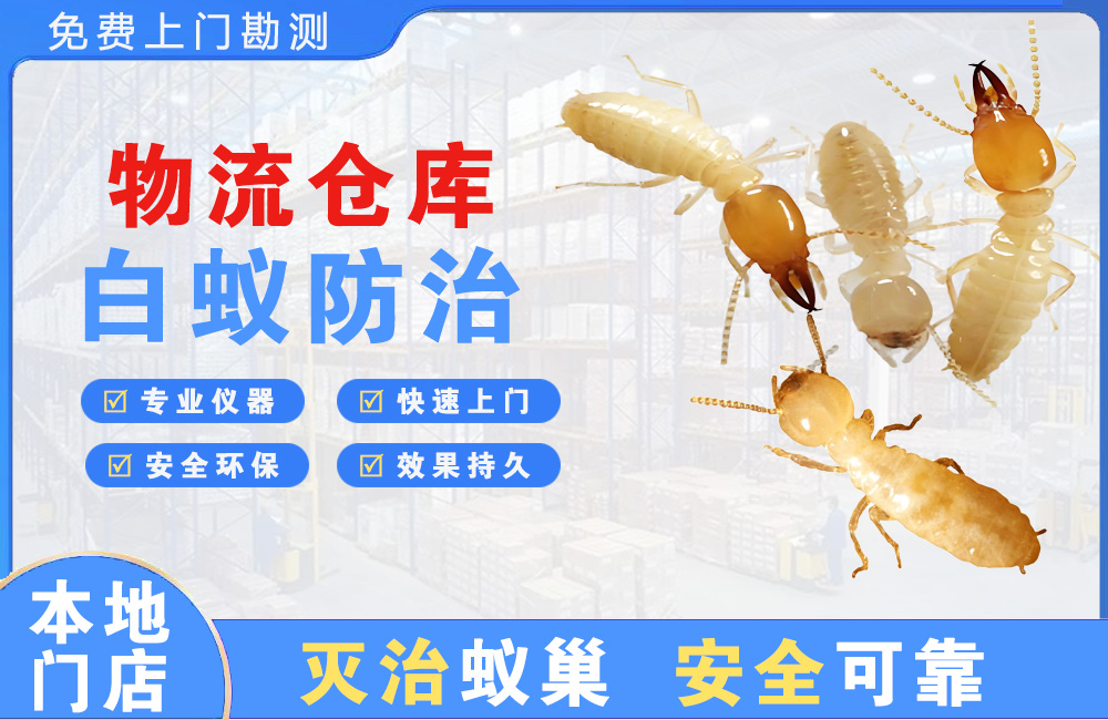 孝感物流仓库白蚁防治