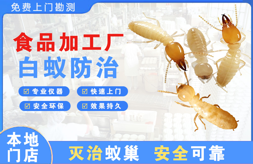 孝感食品加工厂白蚁防治