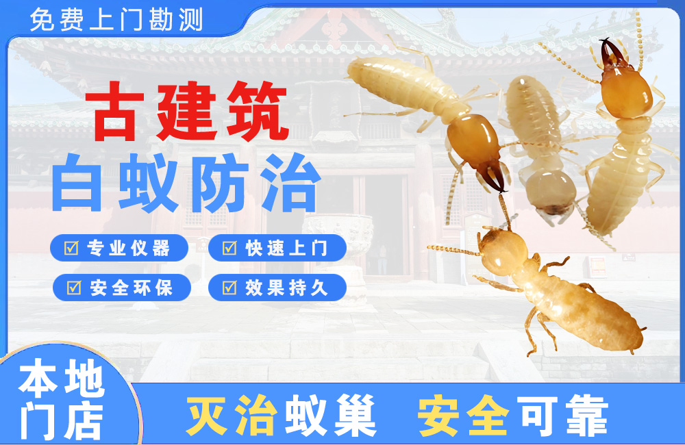孝感古建筑白蚁防治