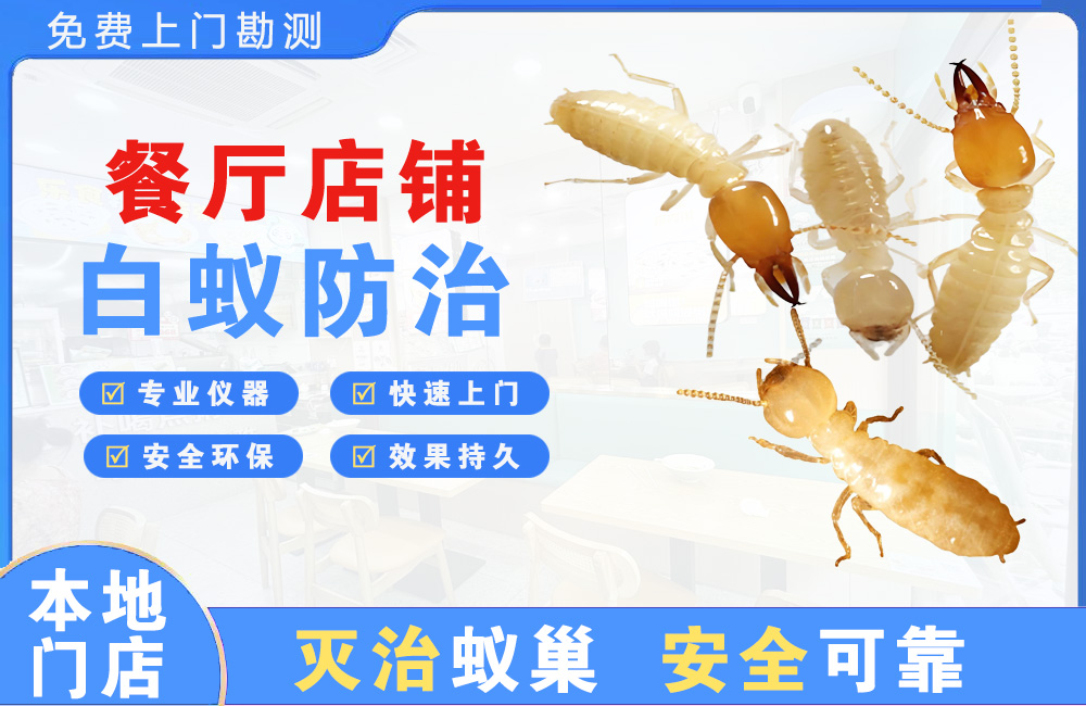 孝感餐厅店铺白蚁防治
